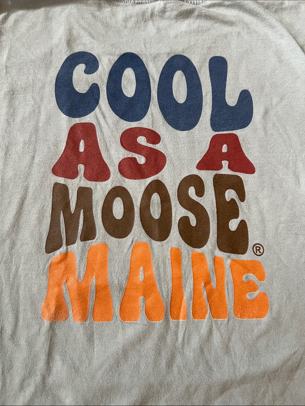 Blue 84 Grey Cool as a Moose Short Sleeve